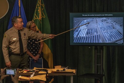 Los Angeles-area officials announce ‘historic’ bust of more than $1B of illegal marijuana