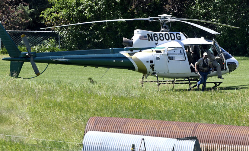 Grizzly bear pulls California woman out of tent in Montana, kills her