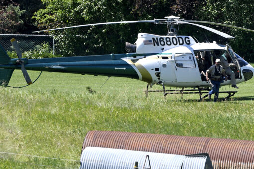 Grizzly bear pulls California woman out of tent in Montana, kills her