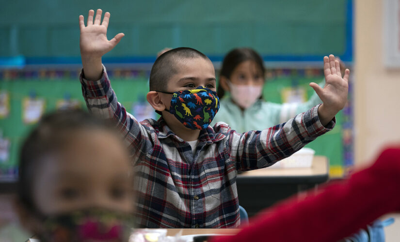 Masks recommended inside schools for anyone over age of 2: American Academy of Pediatrics