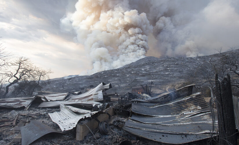 Couple charged in California fire sparked by gender reveal