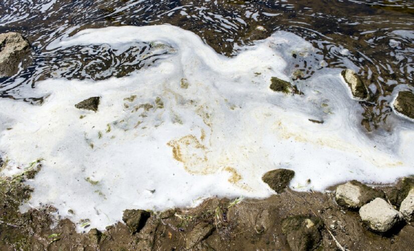 Audit: Military personnel unprotected from toxic chemicals
