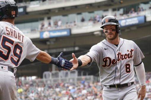 Lions-Vikings? Naw, Tigers top Twins by NFL-like 17-14 final