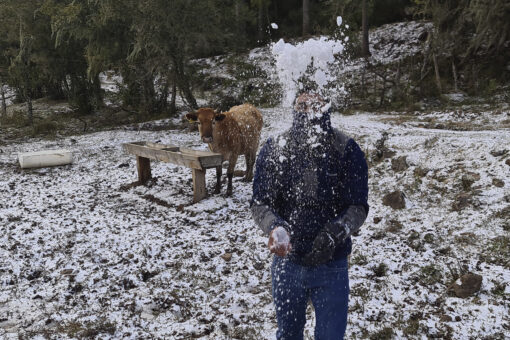 Brazil cold snap gives rare chance for snowmen and snowballs