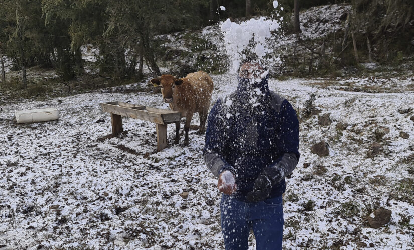 Brazil cold snap gives rare chance for snowmen and snowballs