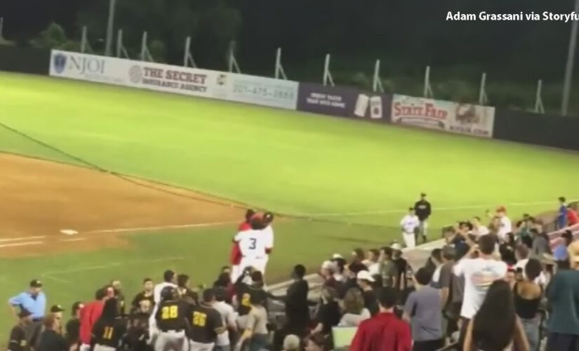 Baseball players and fans brawl at NJ Jackals $1 Beer Night