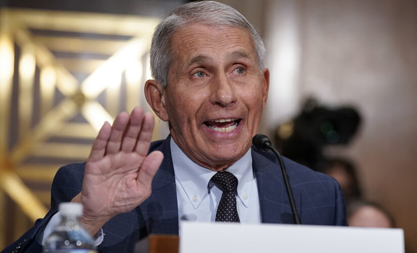 Fauci says virus has ‘peaked’ for the vaccinated: ‘We have two kinds of America’