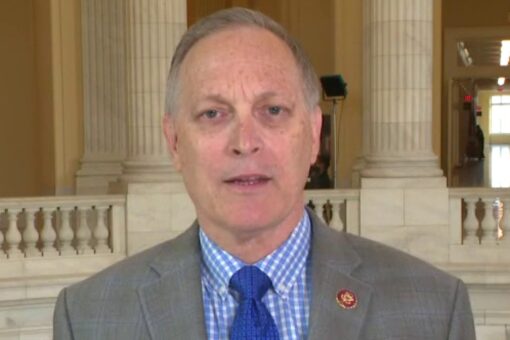 Rep. Andy Biggs provides video of illegal immigrants streaming across border, calls on Biden to act
