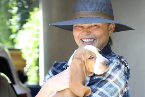 Chrissy Teigen steps out in public with new basset hound puppy after death of dog Pippa