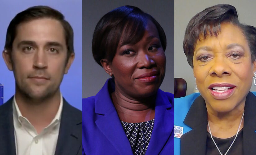 Critical Race Theory critic rips MSNBC’s Joy Reid following teachers union decision to embrace ideology