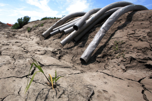 Expanding Western drought sets 122-year record: scientists
