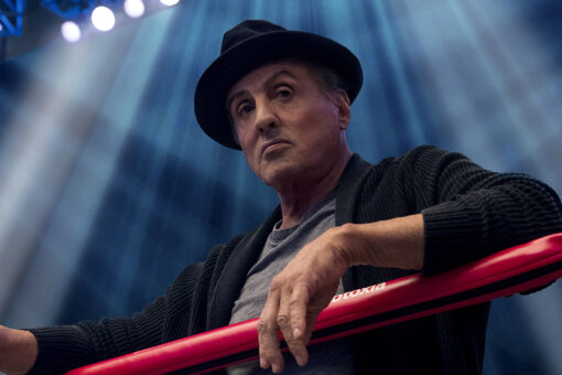 Sly Stallone says McGregor should take the payday, box Jake Paul