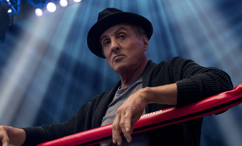 Sly Stallone says McGregor should take the payday, box Jake Paul