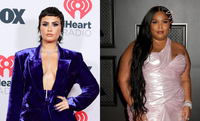 Demi Lovato thanks Lizzo after singer corrects paparazzo who misgendered star: ‘Demi goes by they’