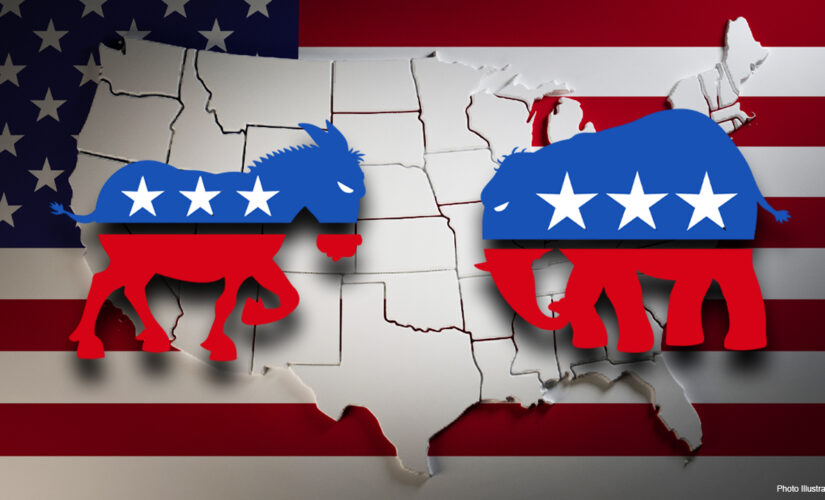 Wisconsin Republican chairman stepping down ahead of midterm