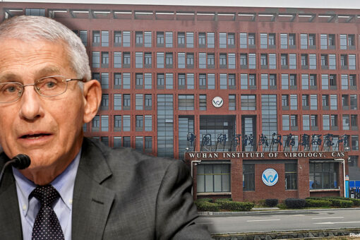 Columbia professor who thanked Fauci for Wuhan lab messaging maintains close ties to China