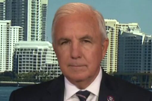 Cubans protesting communism with American flag because it’s a symbol of freedom: Rep. Gimenez