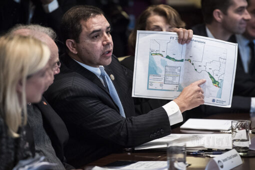 Democratic congressman calls on Biden to put a ‘pause’ on border crisis, as COVID spikes in Texas