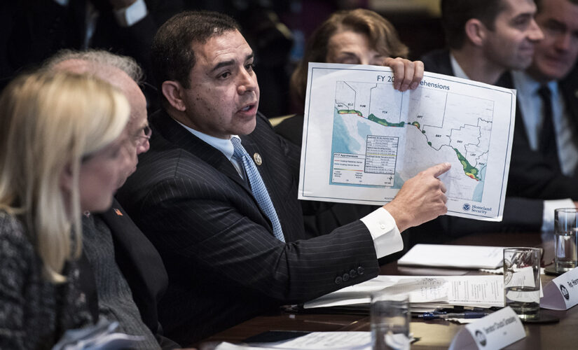 Democratic congressman calls on Biden to put a ‘pause’ on border crisis, as COVID spikes in Texas