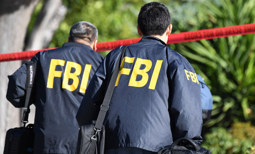 Indianapolis FBI raids lead to more than 10 arrests