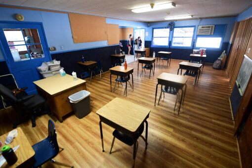 NY Times blasted for defending ‘pornography literacy’ for first graders: ‘These people are sick’