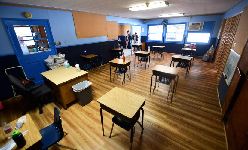 NY Times blasted for defending ‘pornography literacy’ for first graders: ‘These people are sick’