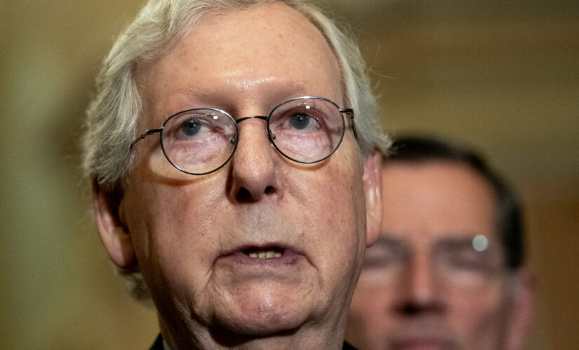 Mitch McConnell calls defunding the police ‘utter nonsense’ while discussing US crime spikes
