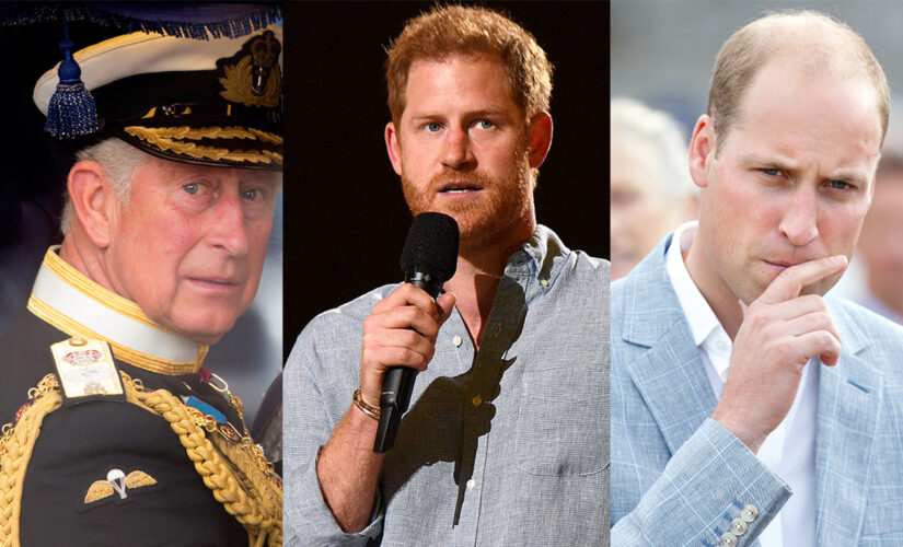 Prince William, Prince Charles are ‘shaken up’ and ‘nervous’ about Prince Harry’s upcoming memoir, source says