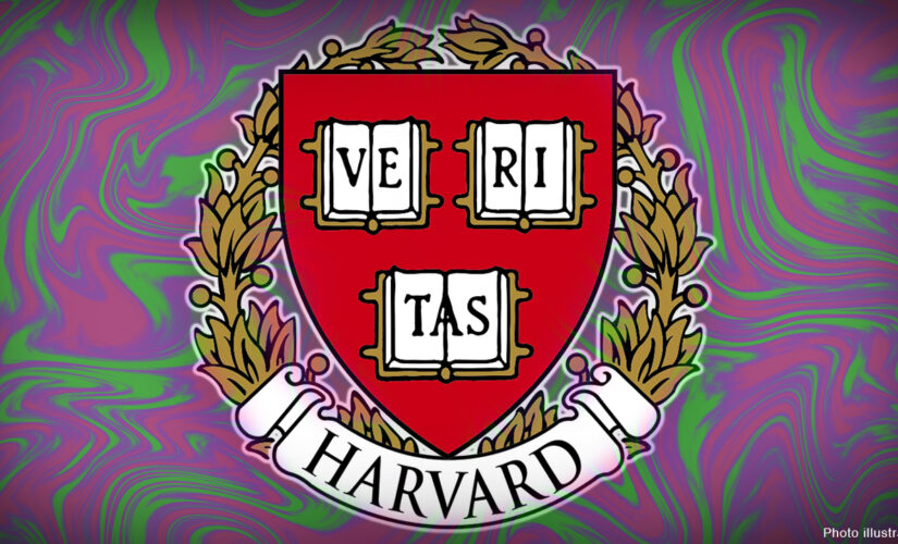 Harvard to study pyschedelics and the law as decriminalization gains steam