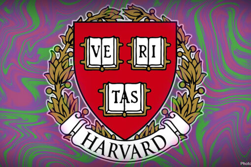 Harvard to study pyschedelics and the law as decriminalization gains steam