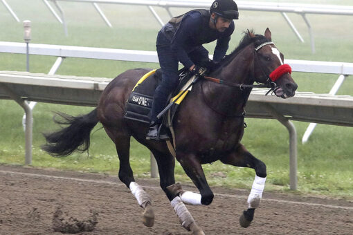 Hot Rod Charlie favored in $1 million Haskell at Monmouth
