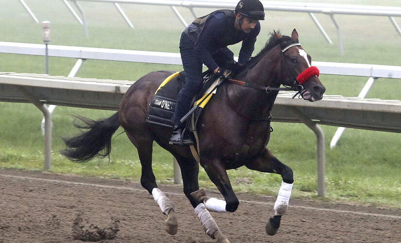 Hot Rod Charlie favored in $1 million Haskell at Monmouth