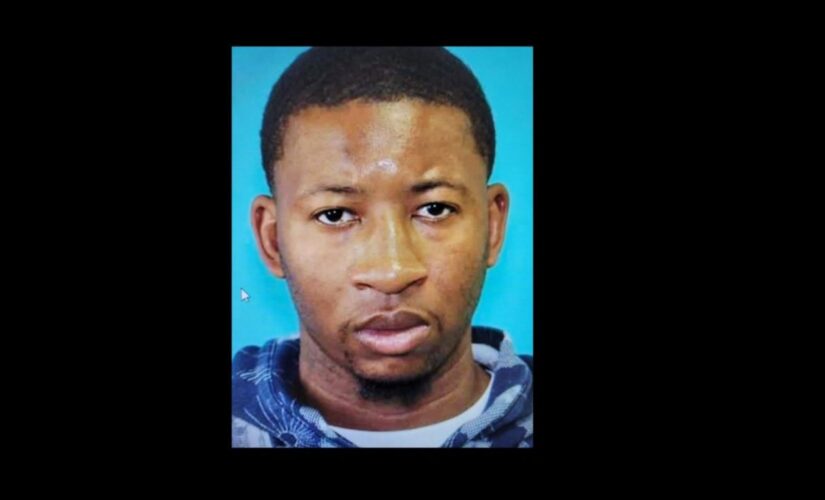 Houston cops ID suspect in teenaged Astros fan’s road-rage death