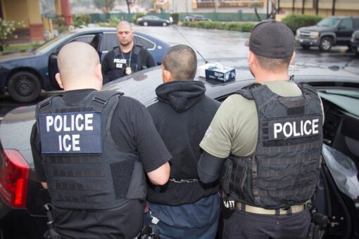 ICE nabs more than 300 illegal immigrant sex offenders since June as part of national operation