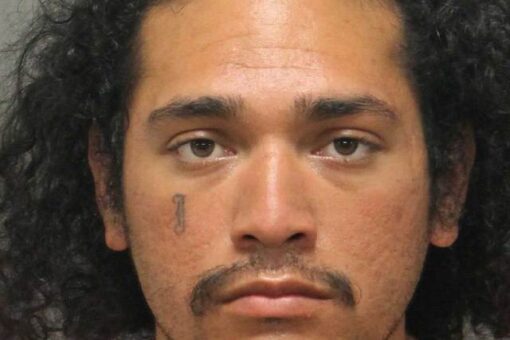 North Carolina girl, 7, allegedly groped by man in front of her parents at public park