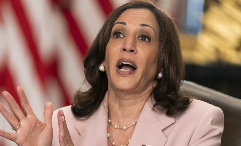 Harris says Democrats who fled Texas ‘in line’ with legacy of Frederick Douglass, Selma marchers, suffragettes