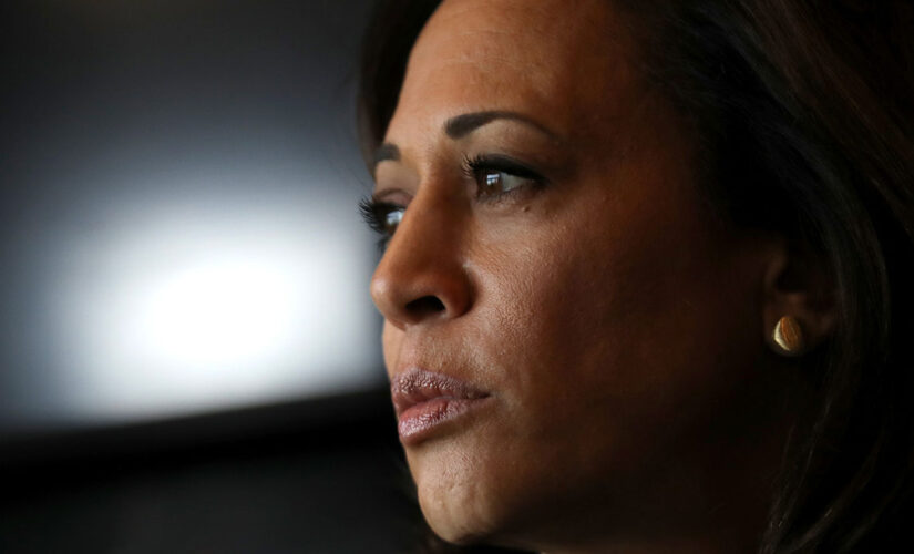 Kamala Harris staff contending with low morale, internal tensions: reports
