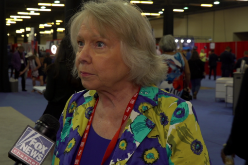 CPAC attendees weigh in: What should parents do about CRT in schools?