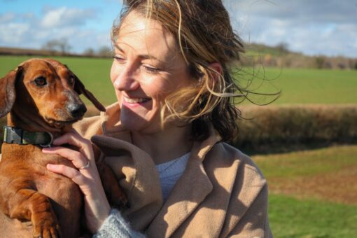 Back to work: What to do with your pandemic puppy?