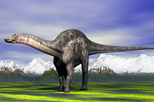 Before an asteroid wiped them out, dinosaurs were already in decline: study