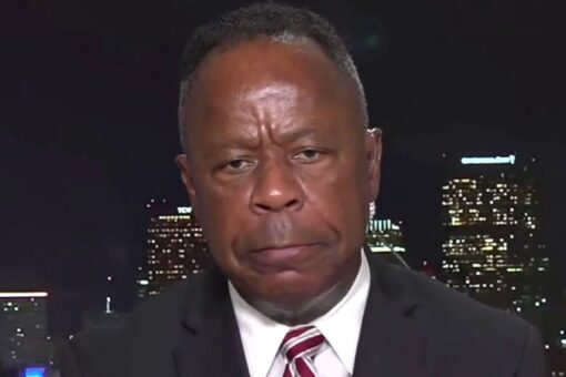 Leo Terrell: Critical race theory is a racist theory