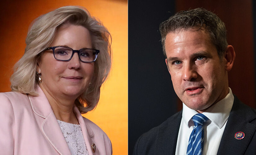 Cheney and Kinzinger: The latest turncoat Republicans the media suddenly loves