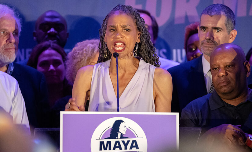 NYC mayoral contenders file lawsuits seeking ballot review