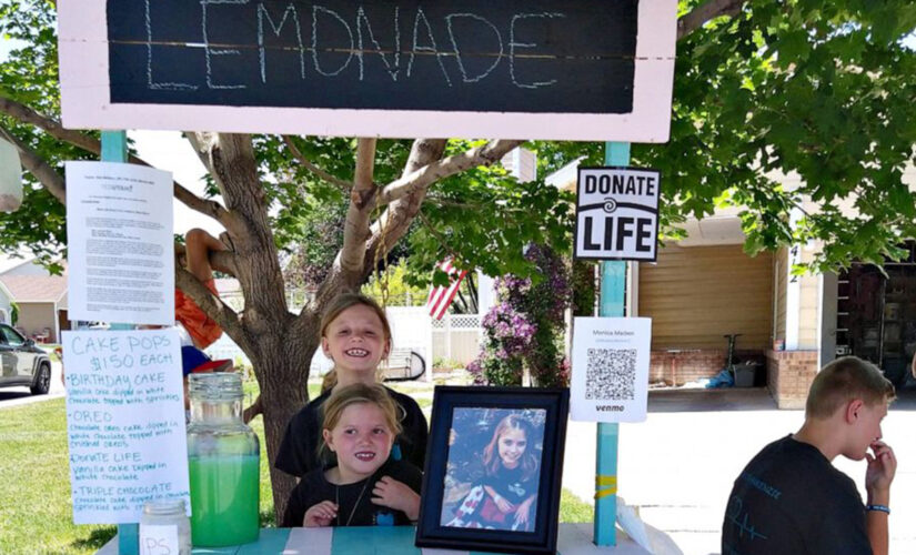 Girls launch lemonade stand to honor late sister who couldn’t get a heart transplant