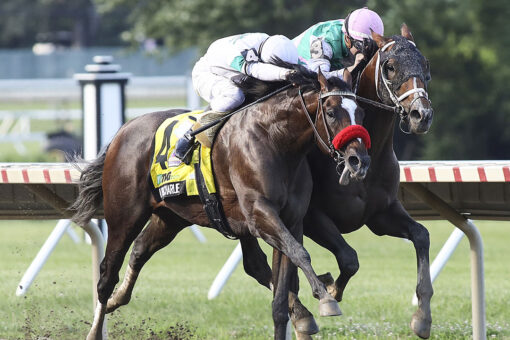 Mandaloun takes controversial Haskell at Monmouth on DQ