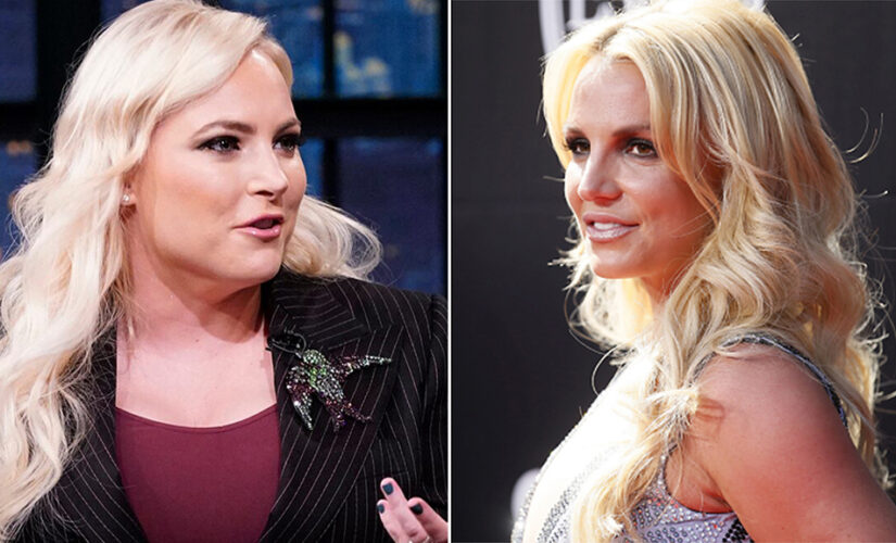 Meghan McCain flames Britney Spears’ family over conservatorship ‘abuse’: ‘Go to hell everyone!’