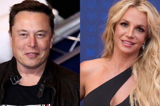 Elon Musk tweets Britney Spears support amid her ongoing conservatorship battle in court