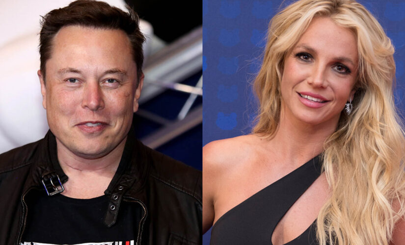 Elon Musk tweets Britney Spears support amid her ongoing conservatorship battle in court