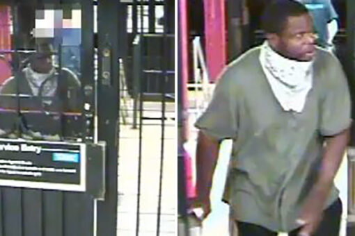 New York mom yanked down subway stairs during attempted robbery, in critical condition