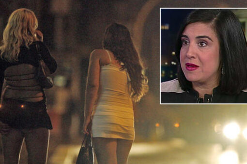 GOP Rep. Malliotakis slams Dems over NYC’s rampant street prostitution: ‘Their idea of job creation?’